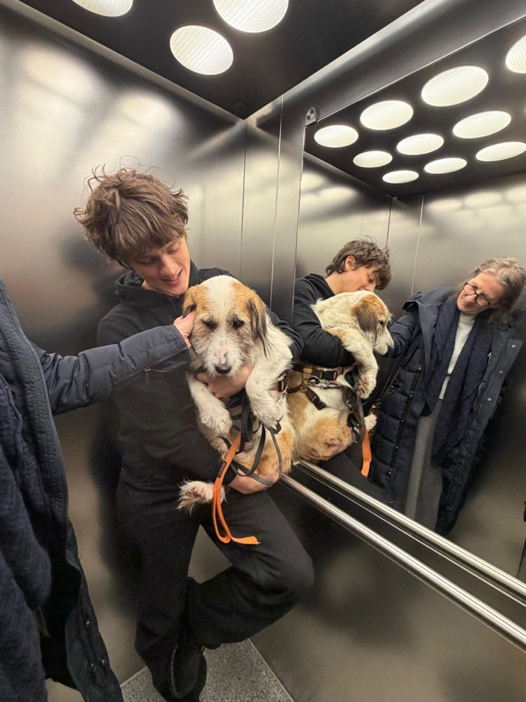 A puppy on the way to the vet