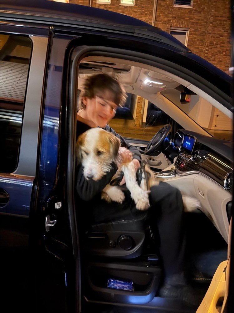 A dog on the road out